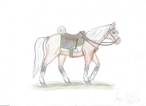 Epona