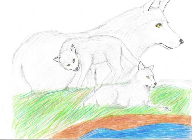 Moro And Her Wolf Cubs