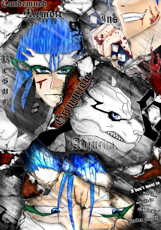 Condemned Memoir - Grimmjow