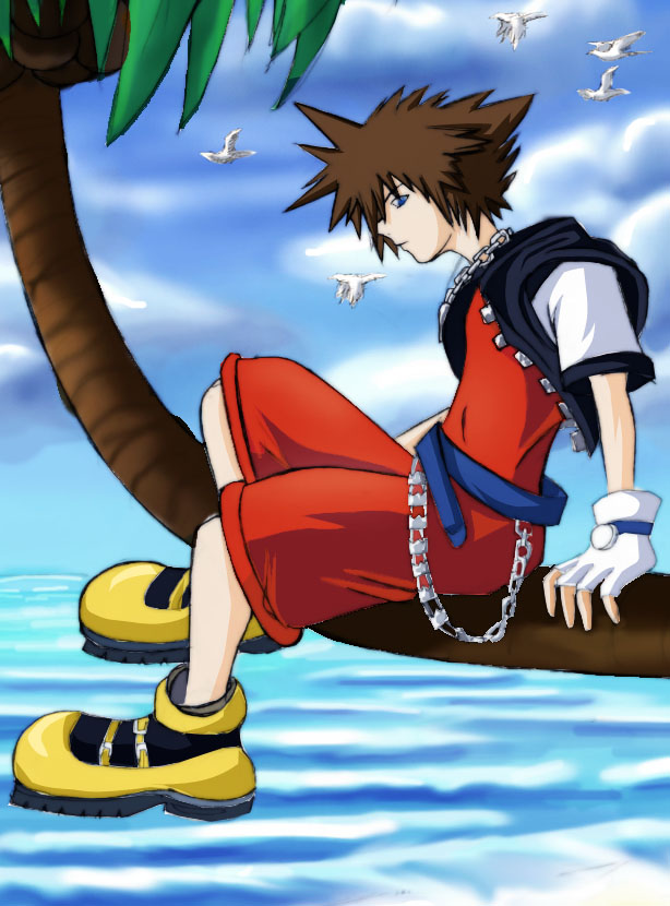 Sora