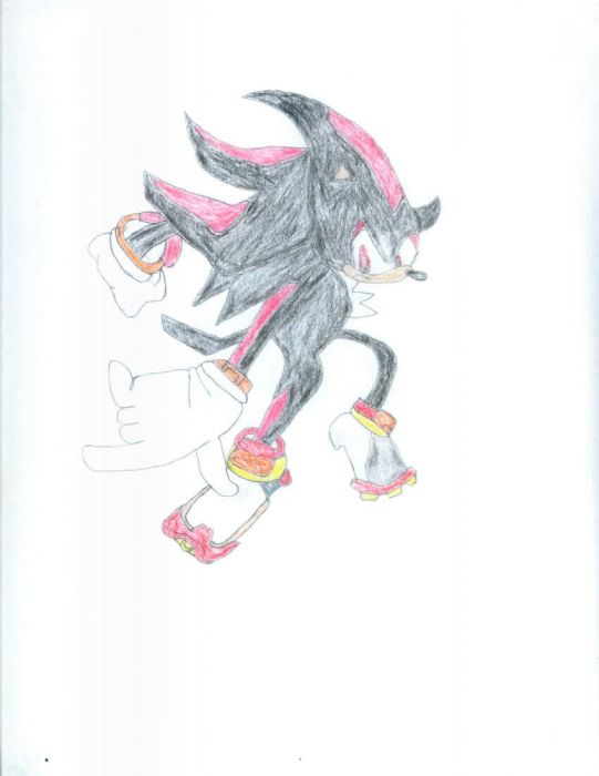 Shadow The Hedgehog