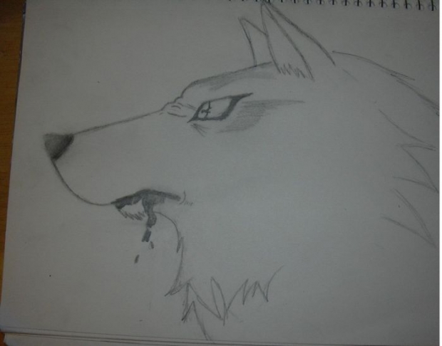 Wolf's Rain