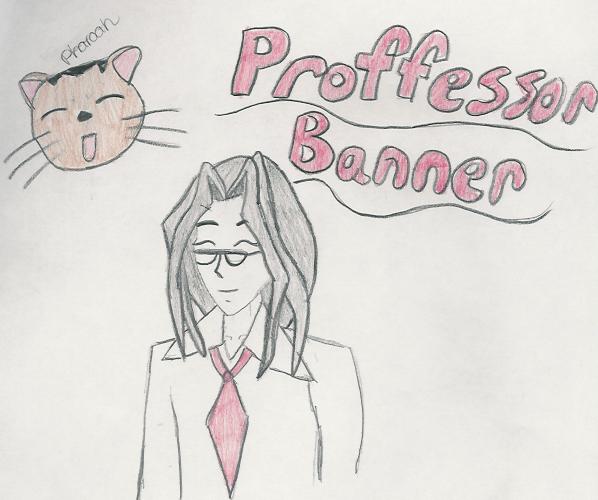 Professor Banner