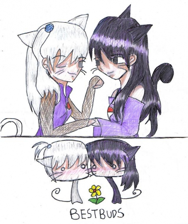 Shi-chan And Yu-chan Kitties!