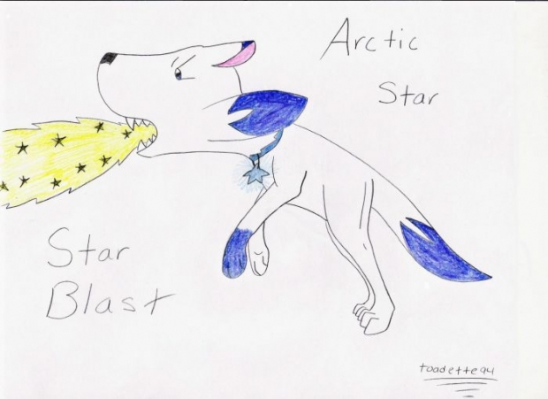 Arctic Star`s Attack