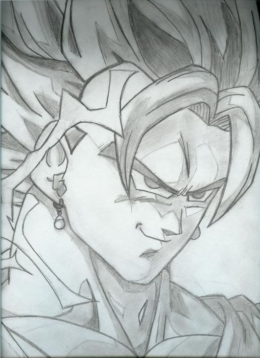 Vegetto