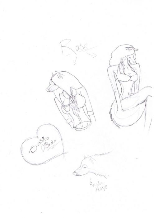 Rose Sketches