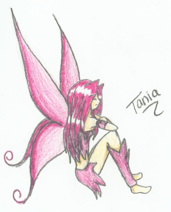 Pink Fairy