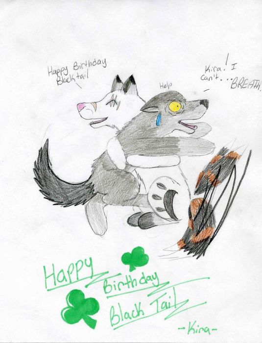 Happy B-day Black Tail