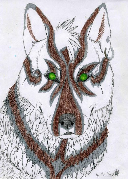 Eye Of A Wolf