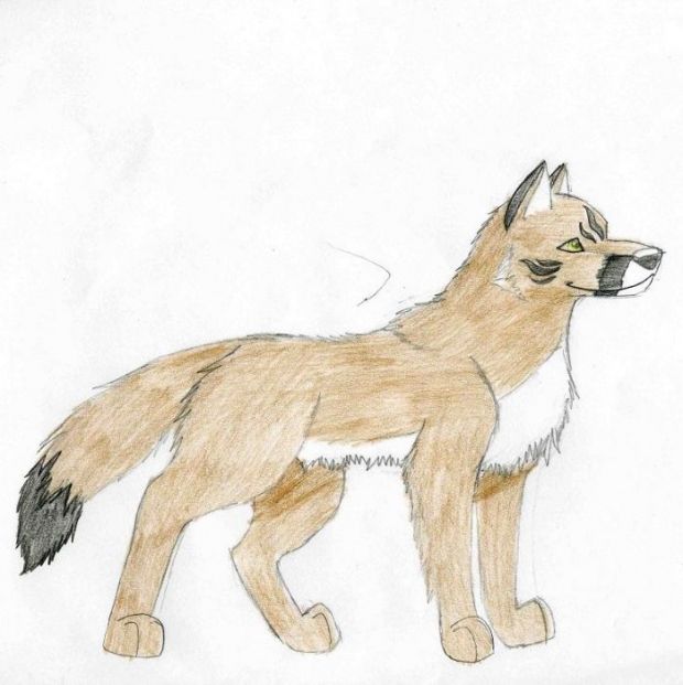 Karmitzu Wolf Form