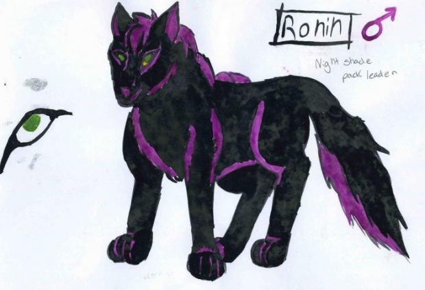 Ronin Of The Nightshade Pakc