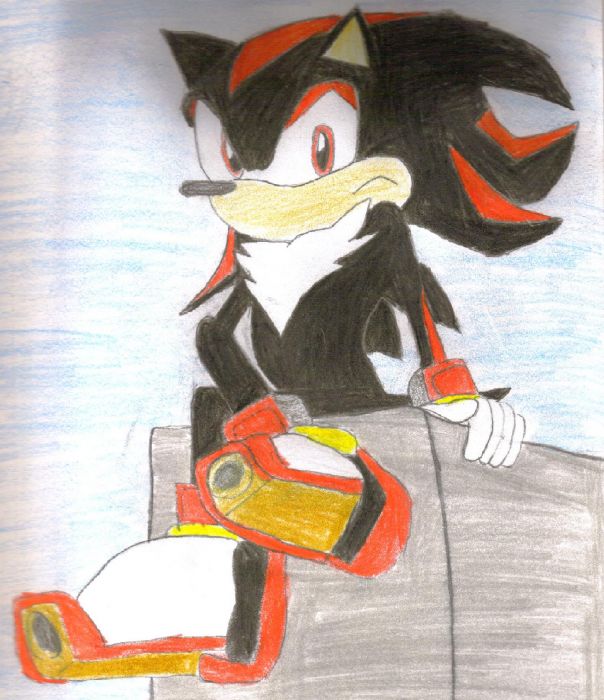 Shadow The Hedgehog