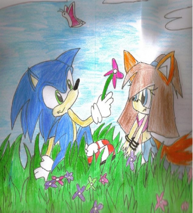 Sonic Giving My Character A Flower