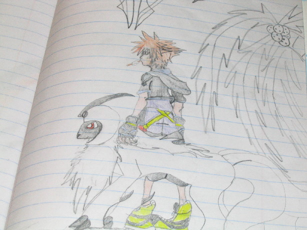 Sora And Pet