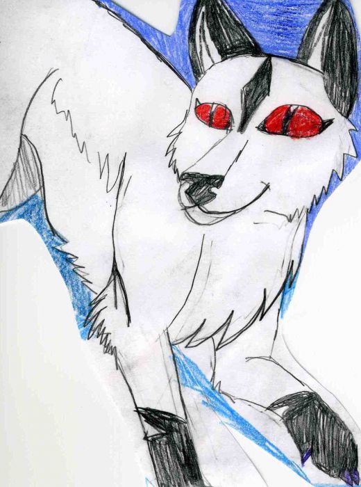 Kilala As A Wolf