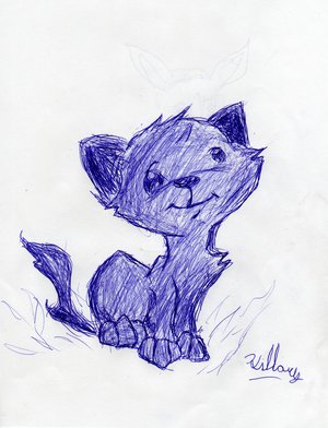 Blue Cat