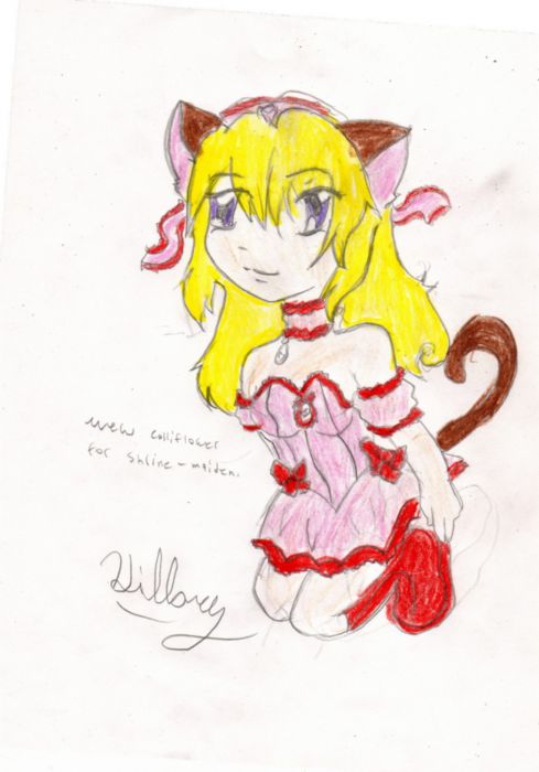 Mew Colliflower For Shirne Maiden