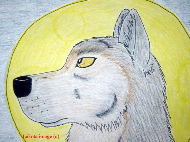 Grey Wolf