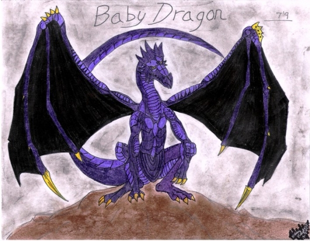 Baby Dragon