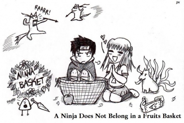 Ninja Fruits Basket