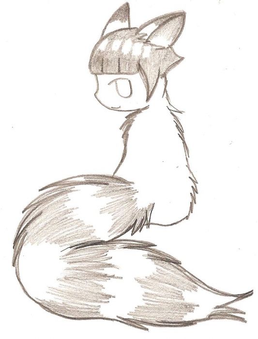 Hinata Raccoon