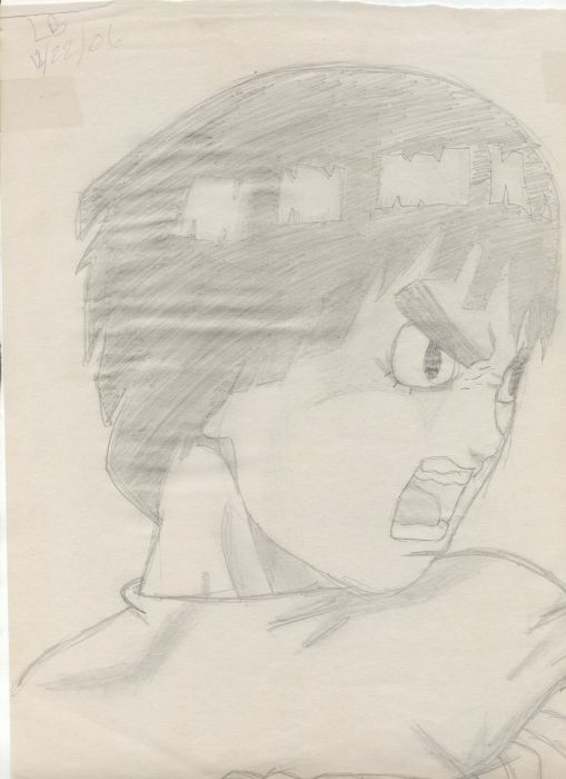 Shaded Rock Lee