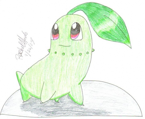 Chikorita