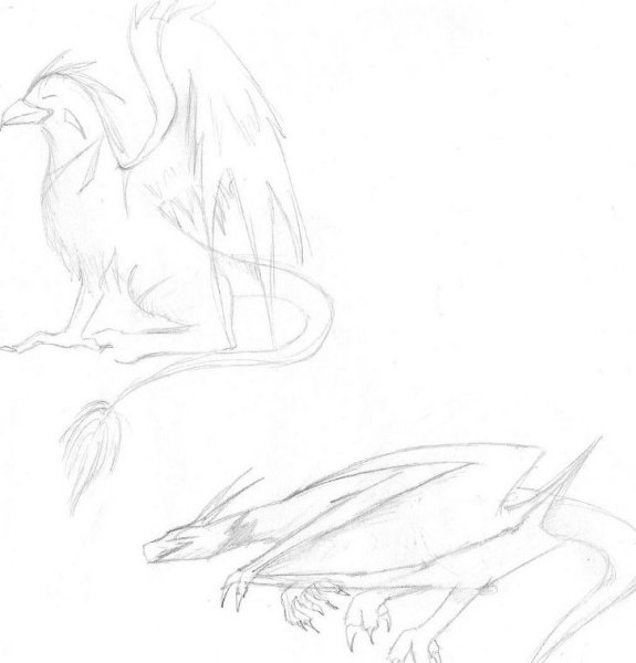 Gryphons And Dragons