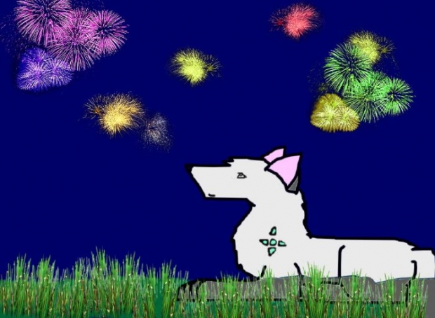 Wolf With Fireworks