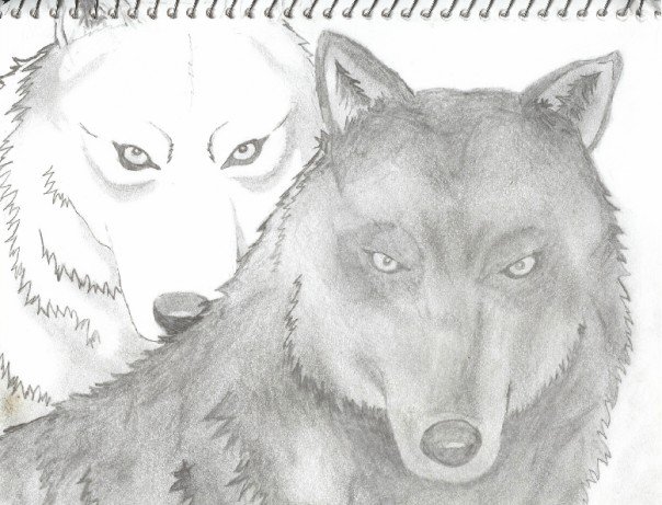 Kiba And Blue (pencil)