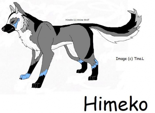 My Wolf Form (himeko)