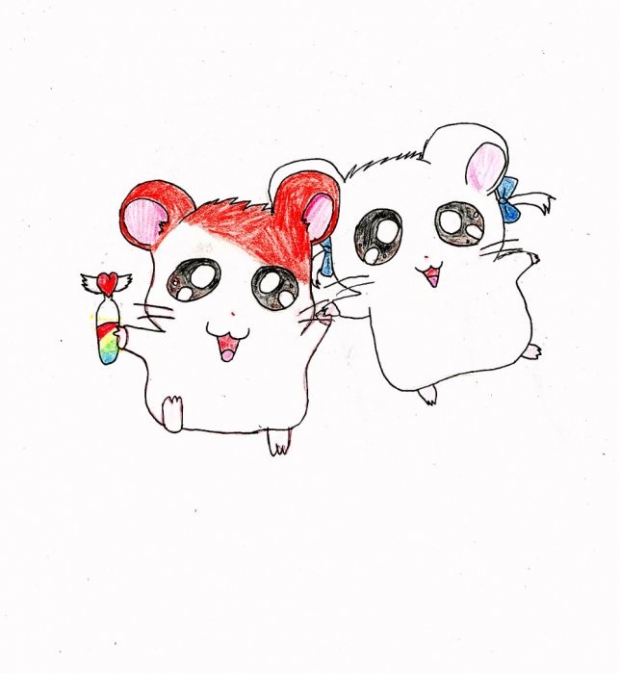 Hamtaro & Bijou