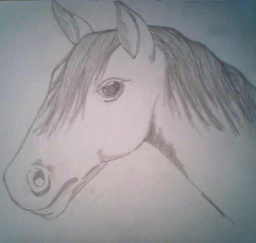 Horse