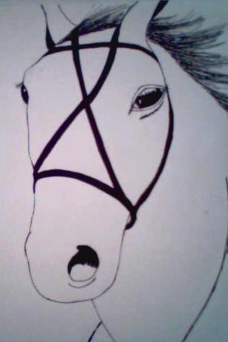 Horse 2