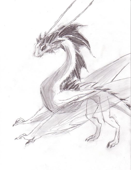 Random Dragon