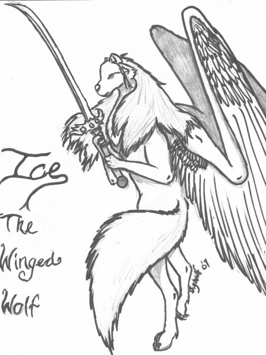 Ice The Winged Wolf