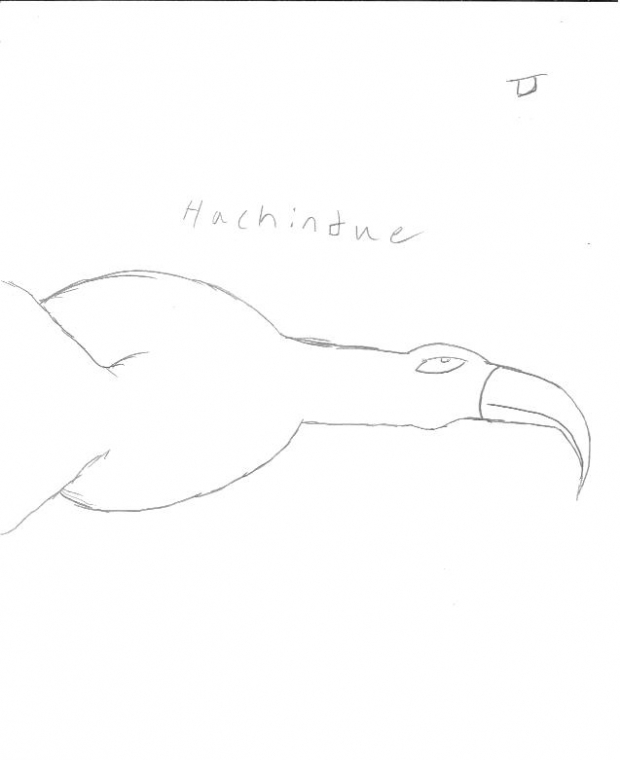 Hachindue