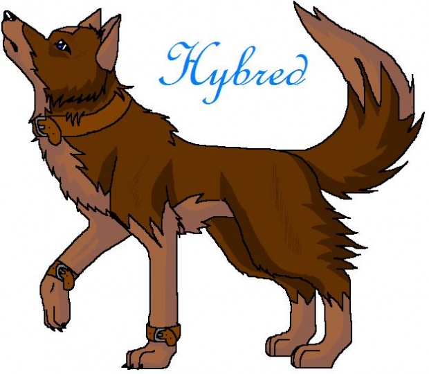 Hybred