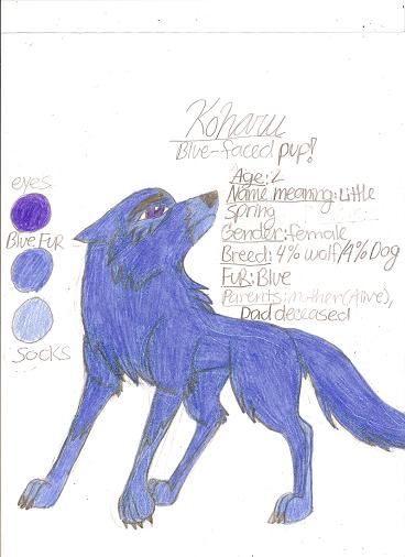 Koharu The Wolf