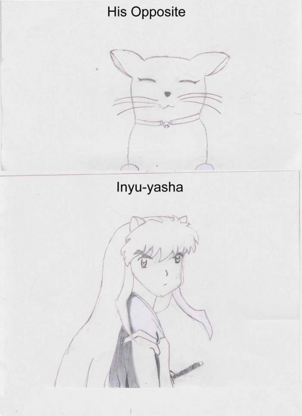 Inuyasha And His Opposite