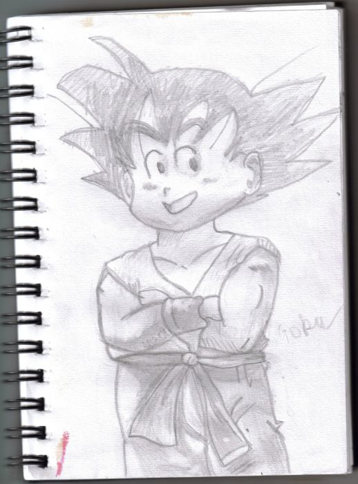 Kid Goku On Holiday