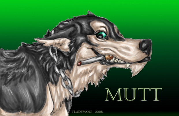 mutt ava