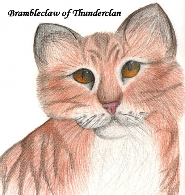 Brambleclaw- For Lupin10
