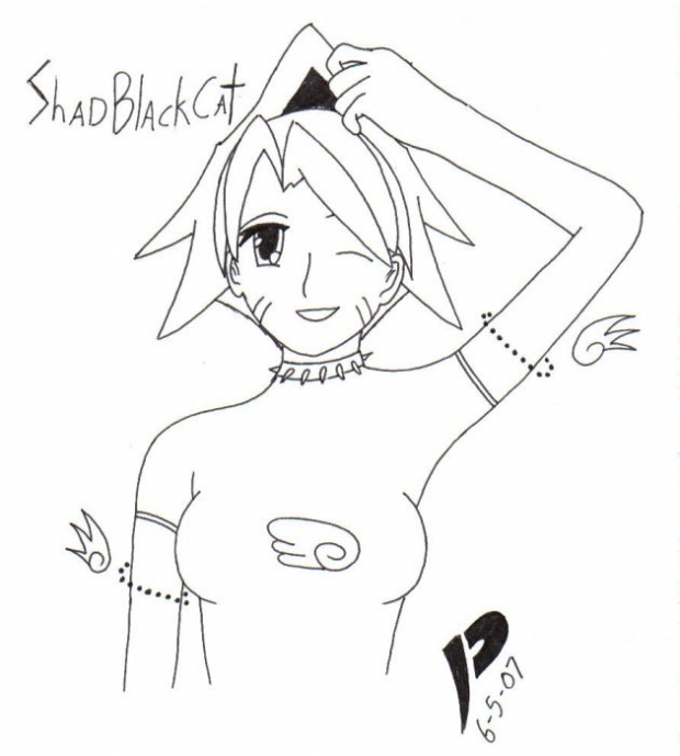 Shadblackcat Avi Art