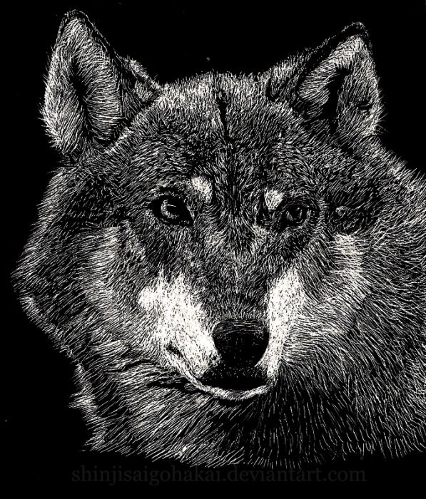 Wolf's Glance