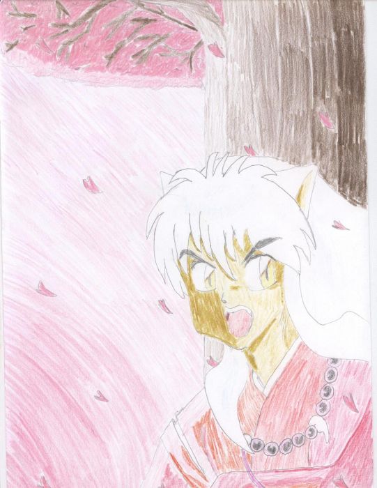 Inuyasha With Sakura