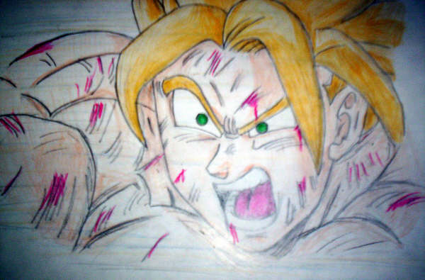 Goku Fase 2