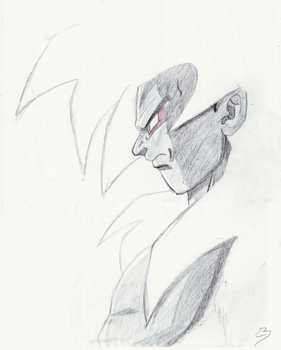 Goku 4th Form - Portrait