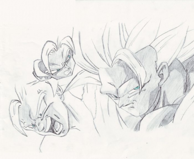 Goku's Forms